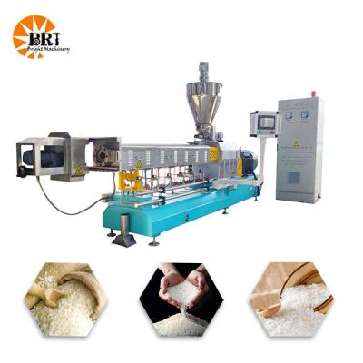 Artificial Rice Process Line