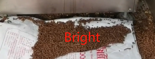 Risoluzione dei problemi comuni dell'estrusore bivite Risoluzione dei problemi comuni dell'estrusore bivite