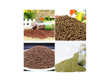 What Are the Common Problems with Aquafeed?
