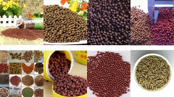 एक्सट्रूडर फिश फीड मशीन Extruder Fish Feed Machine