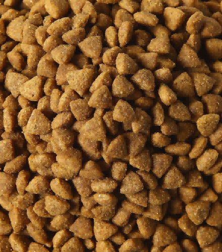 How to Calculate the Protein Content in Feed and the Function of Protein in Feed How to Calculate the Protein Content in Feed and the Function of Protein in Feed