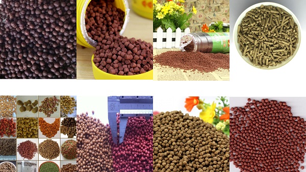 Fish Feed Processing Equipment Fish Feed Processing Equipment