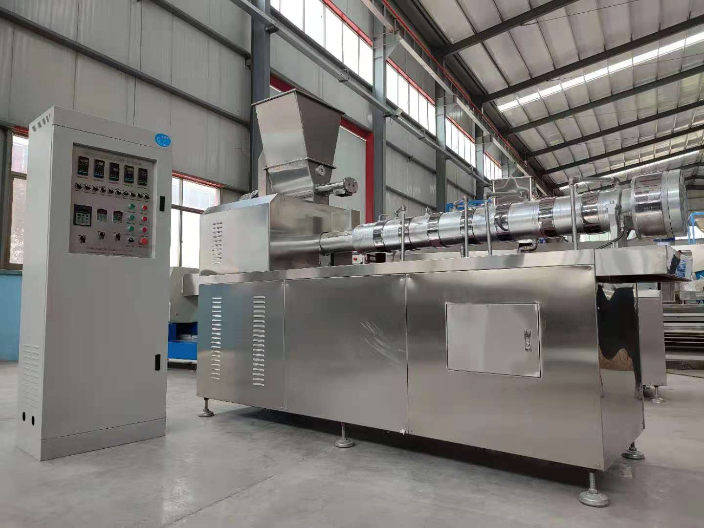2D3D Pellet Snack Production Line.jpg
