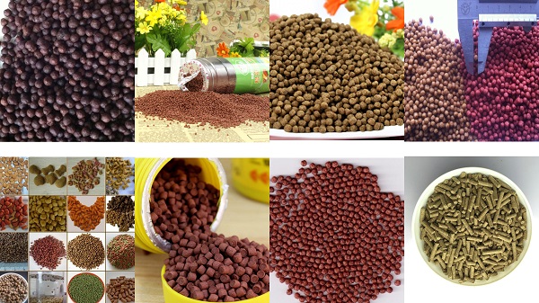 Fish Feed Pellet Extruder Machine Fish Feed Pellet Extruder Machine