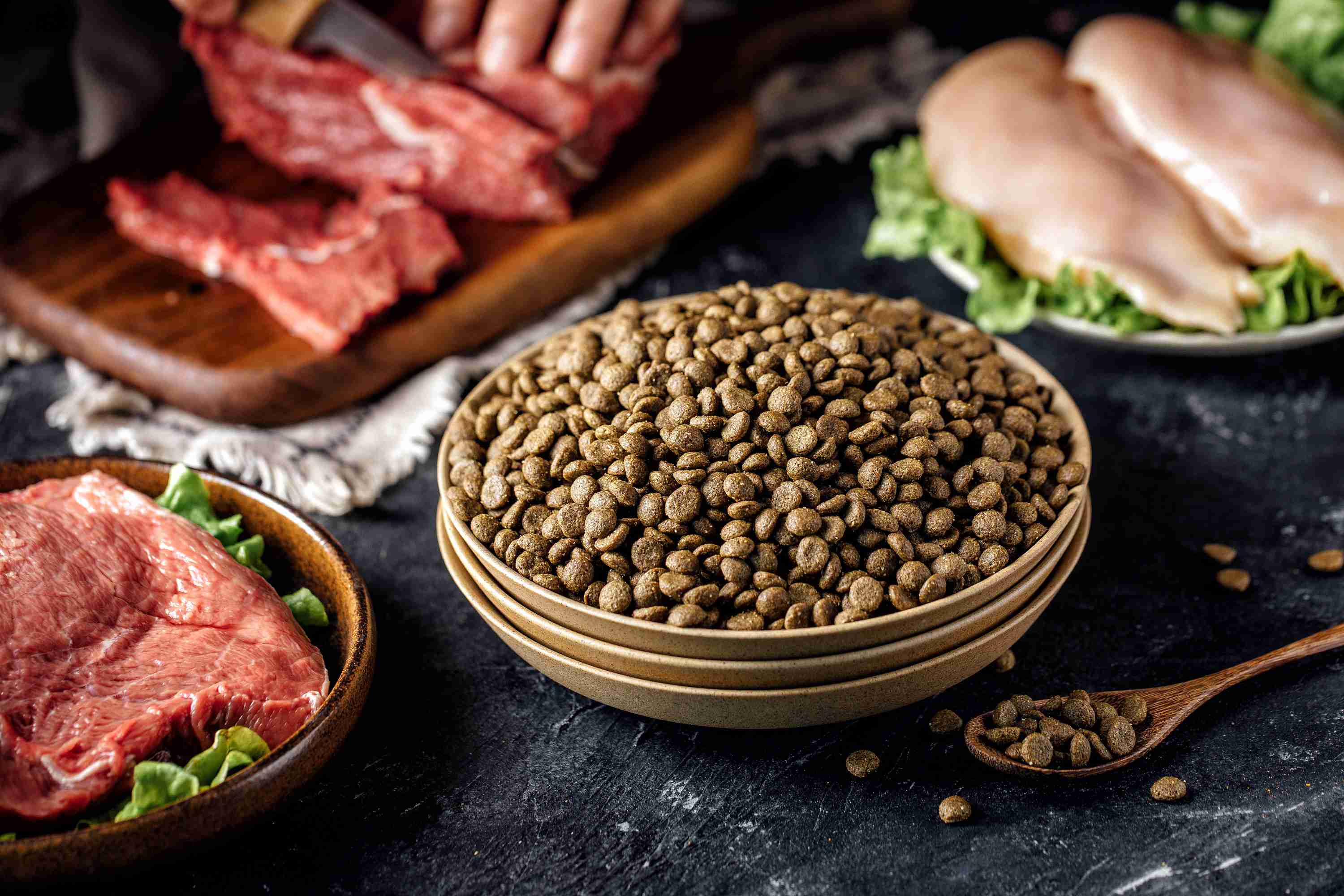 애완동물 사료를 선택할 때 알아야 할 사항 애완동물 사료를 선택할 때 알아야 할 사항