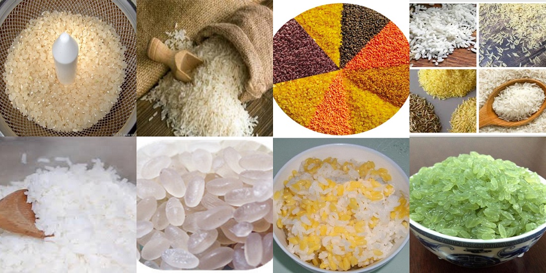 Nutritional Rice Food Processing Line.jpg Nutritional Rice Food Processing Line.jpg