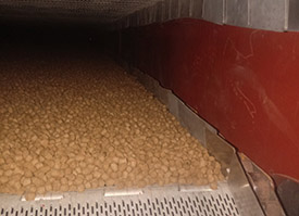 Big Capacity Dog Food Making Machine Big Capacity Dog Food Making Machine