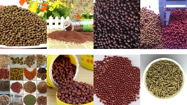 Aquarium Fish Food Making Machine Aquarium Fish Food Making Machine