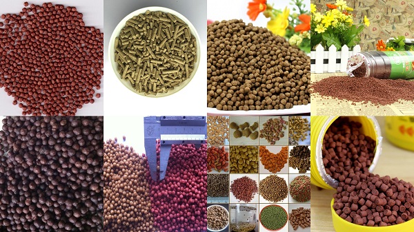 Linea di macchine per la produzione di alimenti per pesci Fish Feed Making Machine Line