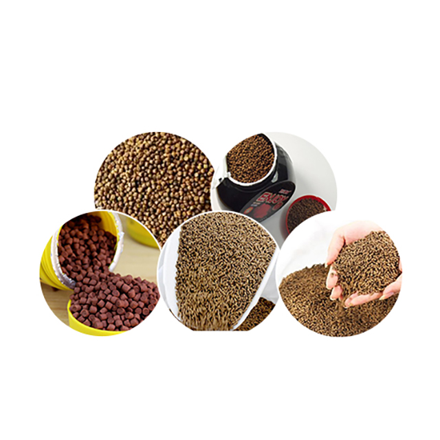 How to Distinguish the Quality of Fish Feed How to Distinguish the Quality of Fish Feed