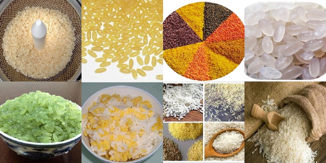 Artificial Rice Maker Machine Artificial Rice Maker Machine