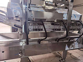 Fried Snack Food Machine