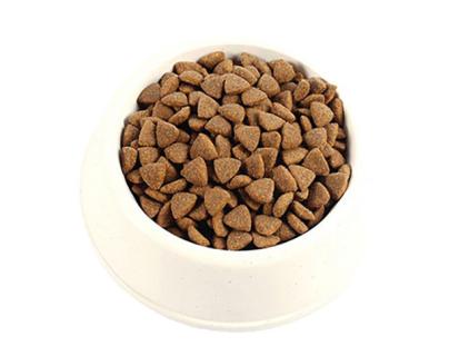 มาตรฐานอาหารสุนัข