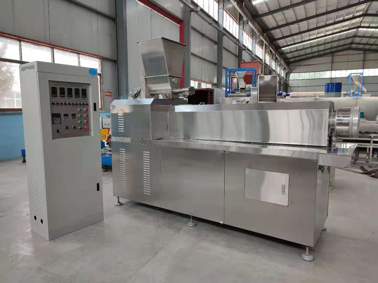 2D3D Pellet Snack Production Line.jpg