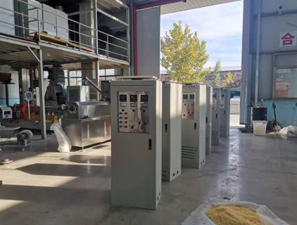 10 Sets of Fortified Rice Extruder Ready to Ship to India