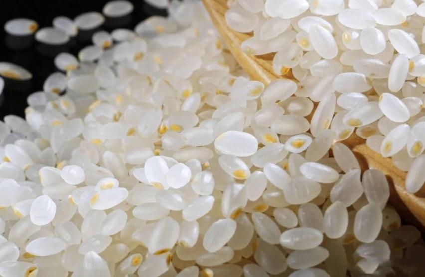 Artificial Rice Artificial Rice