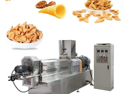 Explore Fried Food Production Line