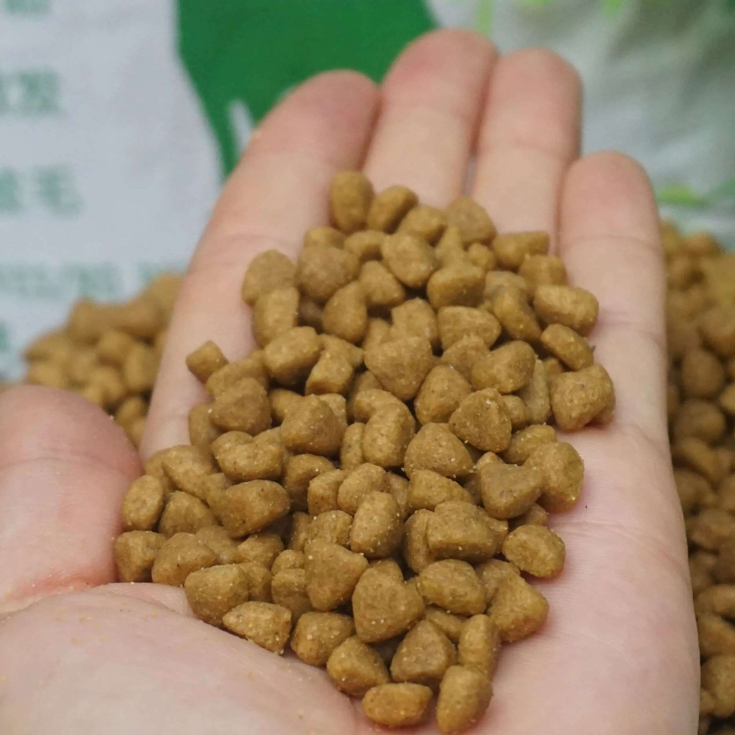 애완동물 사료를 선택할 때 알아야 할 사항 애완동물 사료를 선택할 때 알아야 할 사항