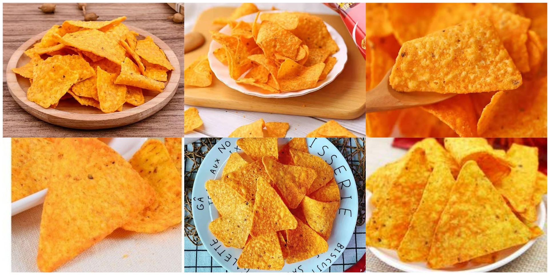 Tortilla Chips Processing Extruder