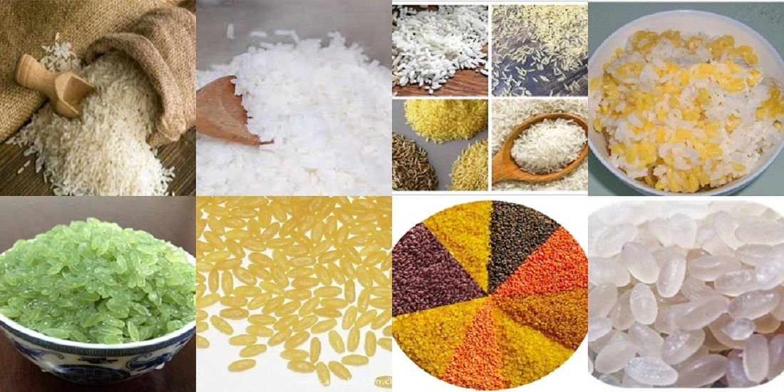 Artificial Rice Producing Machine.jpg Artificial Rice Producing Machine.jpg