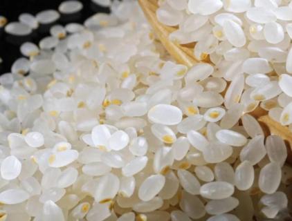 कृत्रिम चावल