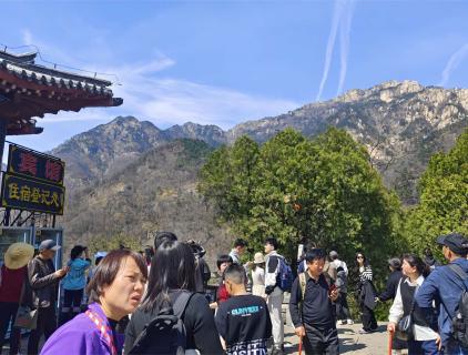 Enhance Team Cohesion