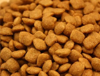 Decryption of Large Twin-Screw Extruder