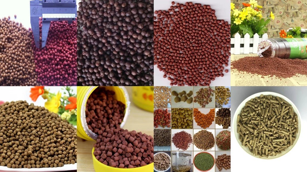 Sinking Fish Feed Pellet Machine Sinking Fish Feed Pellet Machine