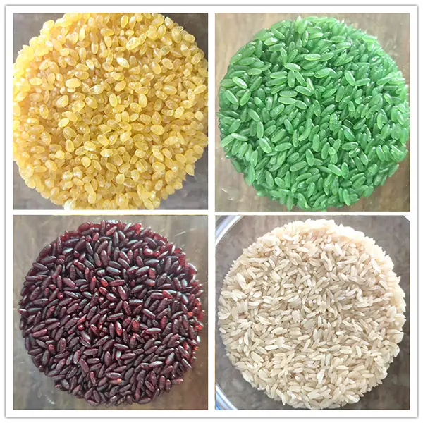 Fortified Rice