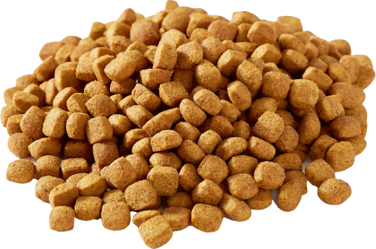 How to Calculate the Protein Content in Feed and the Function of Protein in Feed How to Calculate the Protein Content in Feed and the Function of Protein in Feed