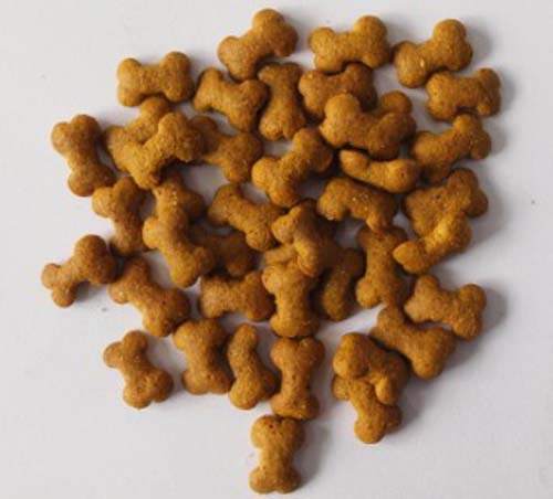 ความแตกต่างระหว่างเครื่องอัดรีดแบบสกรูเดี่ยวและเครื่องอัดรีดแบบสกรูคู่สำหรับอาหารปลาสุนัขแมวคืออะไร? What's the Difference Between Single Screw Extruder and Double Screw Extruder for Cat Dog Fish Feed?