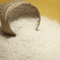Artificial Rice Production Line.jpg