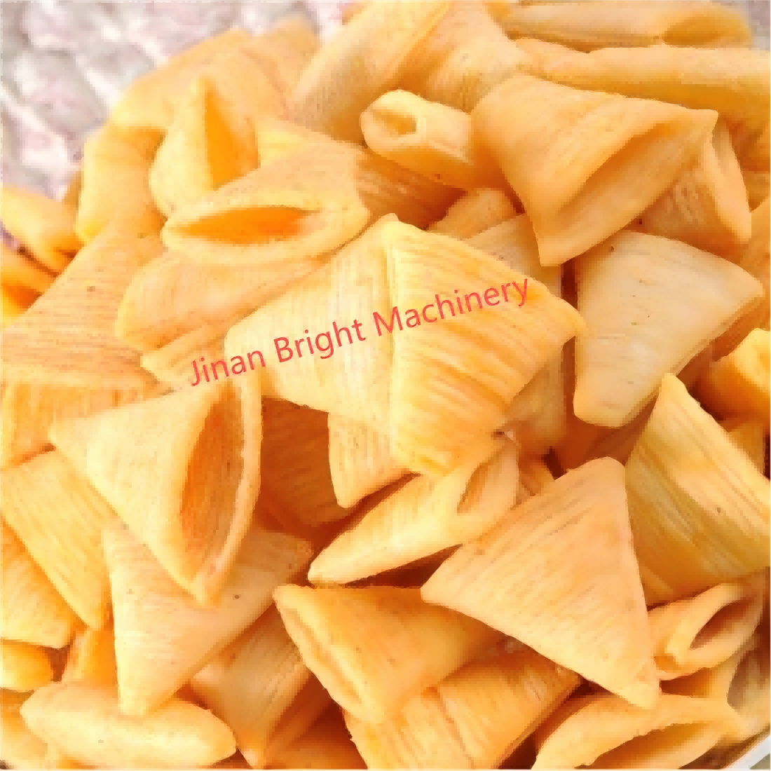 Explore Fried Food Production Line